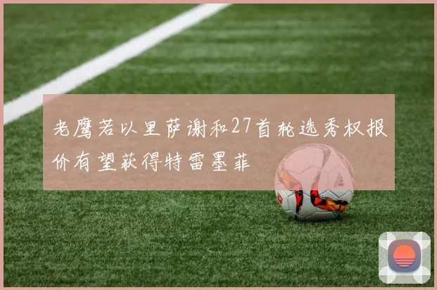 老鹰若以里萨谢和27首轮选秀权报价有望获得特雷墨菲